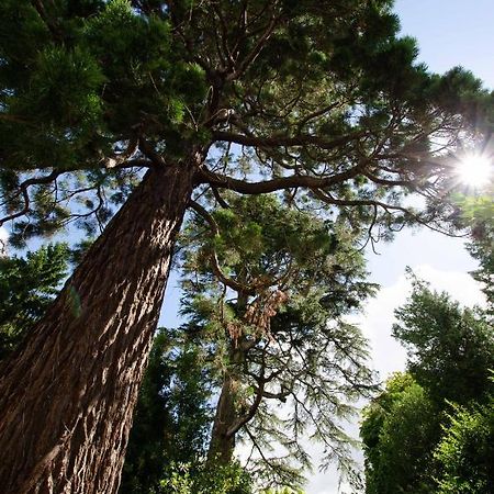 Gite Sequoia Centre Historique 贝叶 外观 照片