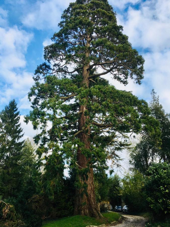 Gite Sequoia Centre Historique 贝叶 外观 照片