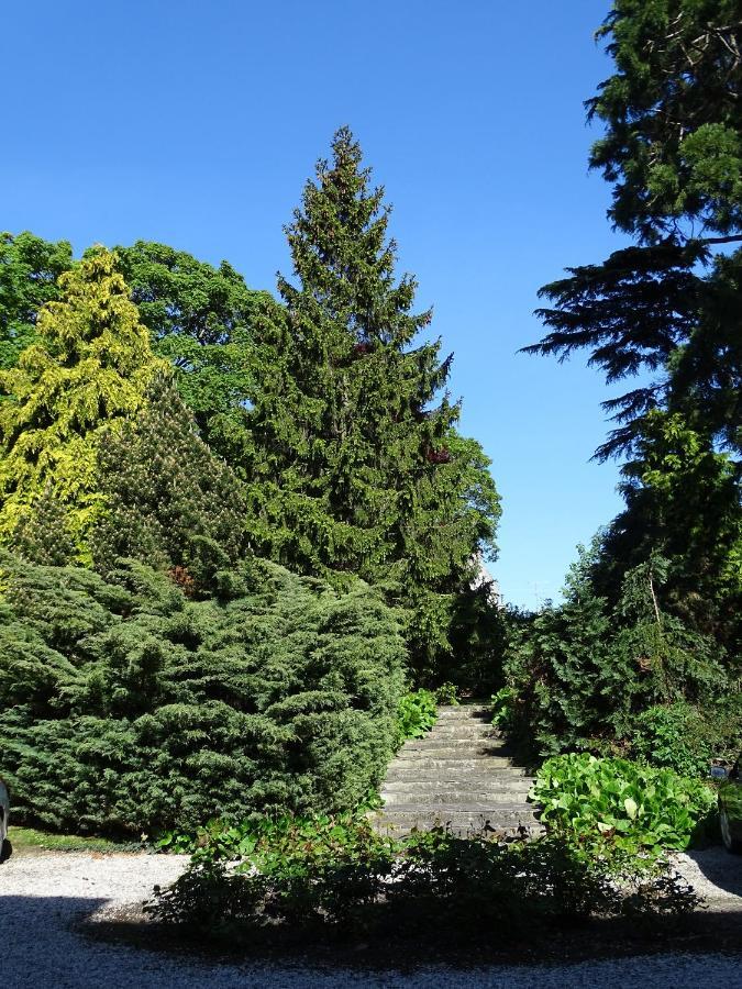 Gite Sequoia Centre Historique 贝叶 外观 照片